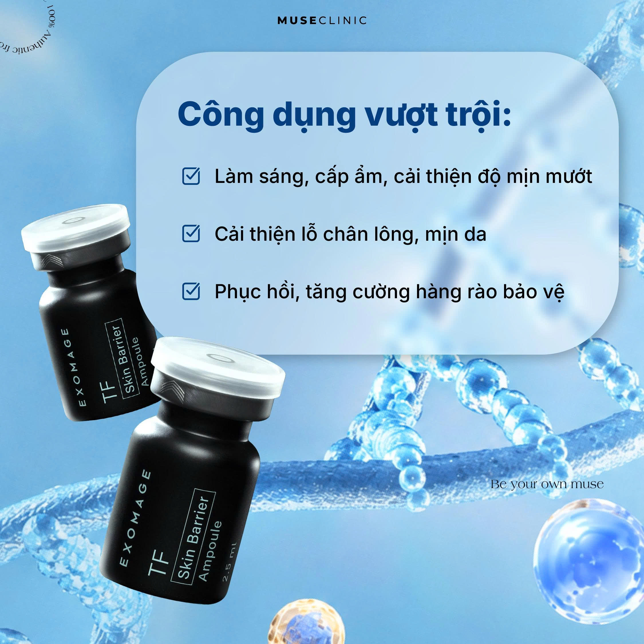 Mất Hàng Rào Bảo Vệ Da: Vì Sao Bạn Skincare Hoài Mà Da Vẫn Không Đẹp?