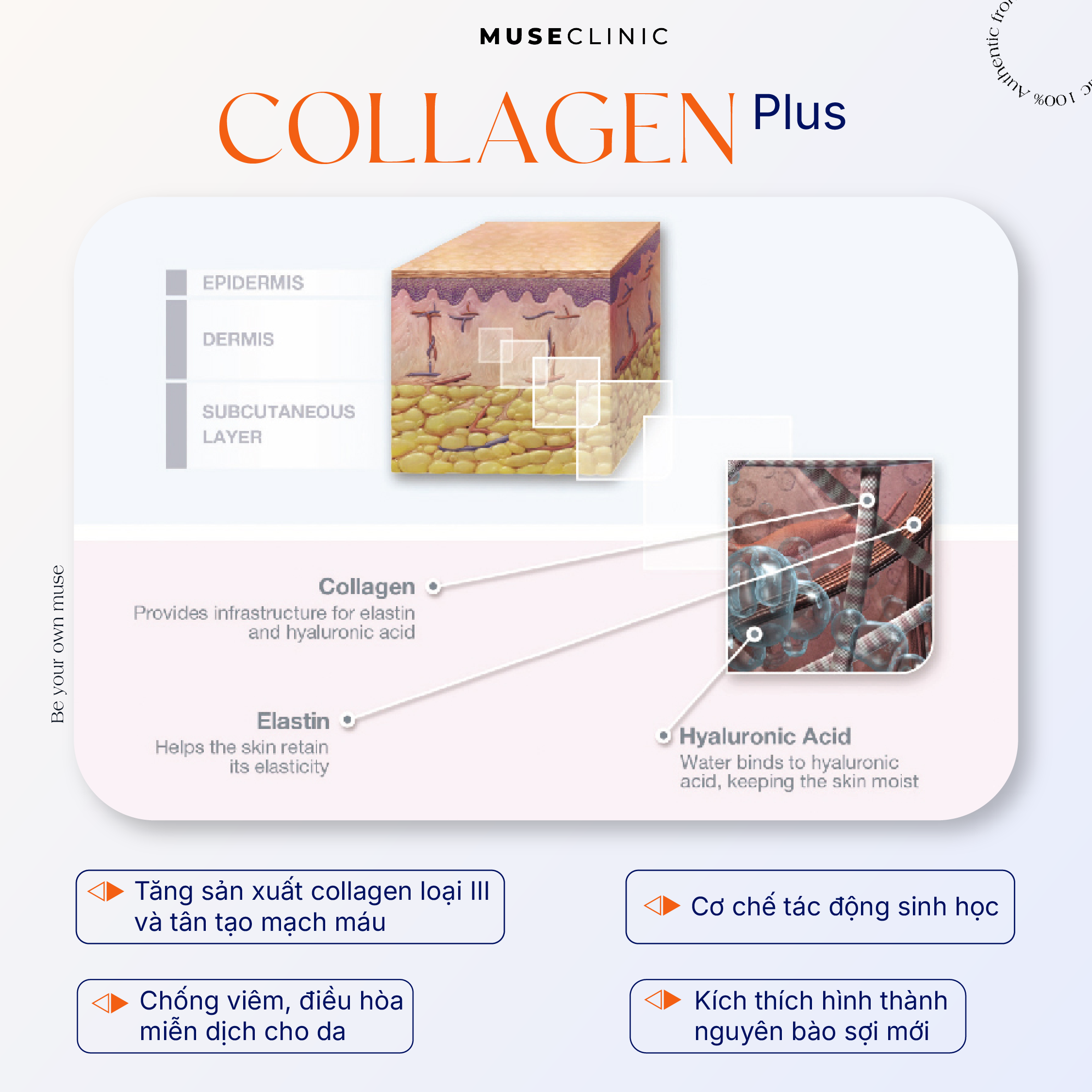 Linersae Collagen - Giải pháp trẻ hóa sinh học chuẩn y khoa Châu Âu giúp tái tạo làn da từ bên trong 