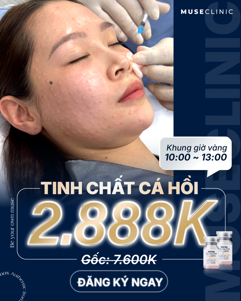 HUGE HOLIDAY DEAL | OVER 50% | FULL PACKAGES!