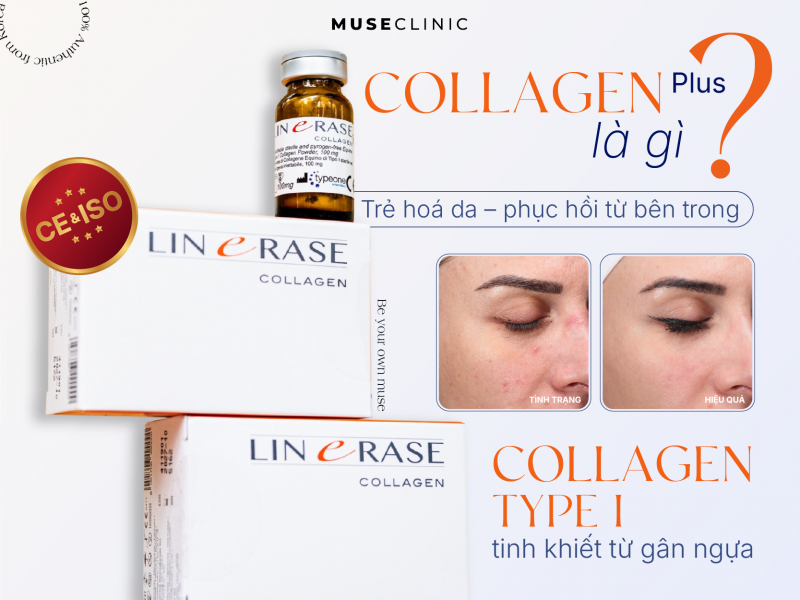 Linersae Collagen - Giải pháp trẻ hóa sinh học chuẩn y khoa Châu Âu giúp tái tạo làn da từ bên trong 